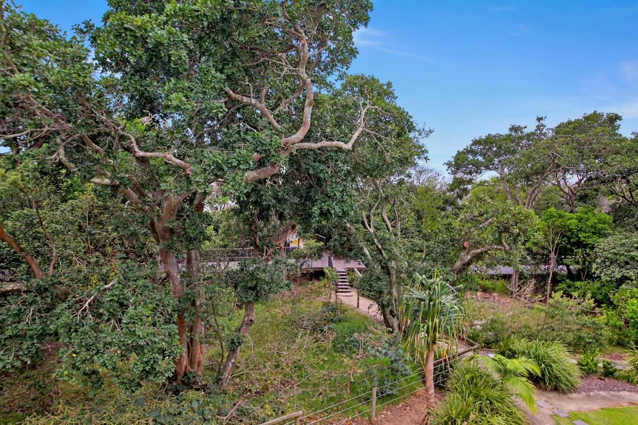 58 Parkyn Luxury Beachfront Apartment Mooloolaba